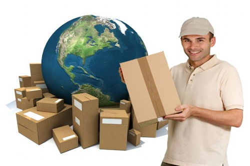 DHL国际小包裹丢失处理与天津海派货运保险索赔及商检报关指南