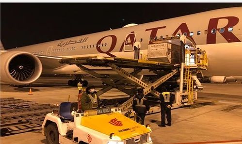 卡塔尔航空恢复中国六大航点腹舱货运服务，助力航空物流复苏