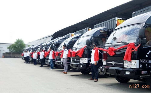 宁波至三门峡物流货运专线服务 专业货代物流解决方案